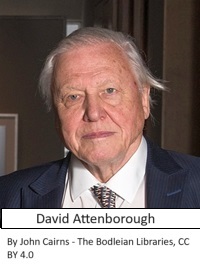 Källa: www.independent.co.uk/news/uk/home-news/david-attenborough-says-sending-food-to-famineridden-countries-is-barmy-8823602.html