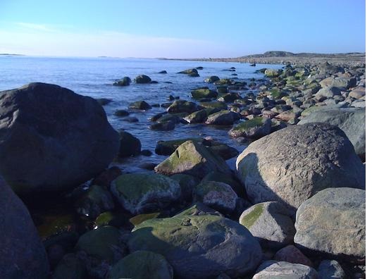 Utsikt från Röe Hall norrut längs västra stranden. Klappersten så långt ögat når. I fjärran till höger skymtar "Monkhövvet"