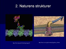 Argument 2: Naturens komplexa strukturer. Bild från ett av mina föredrag.
